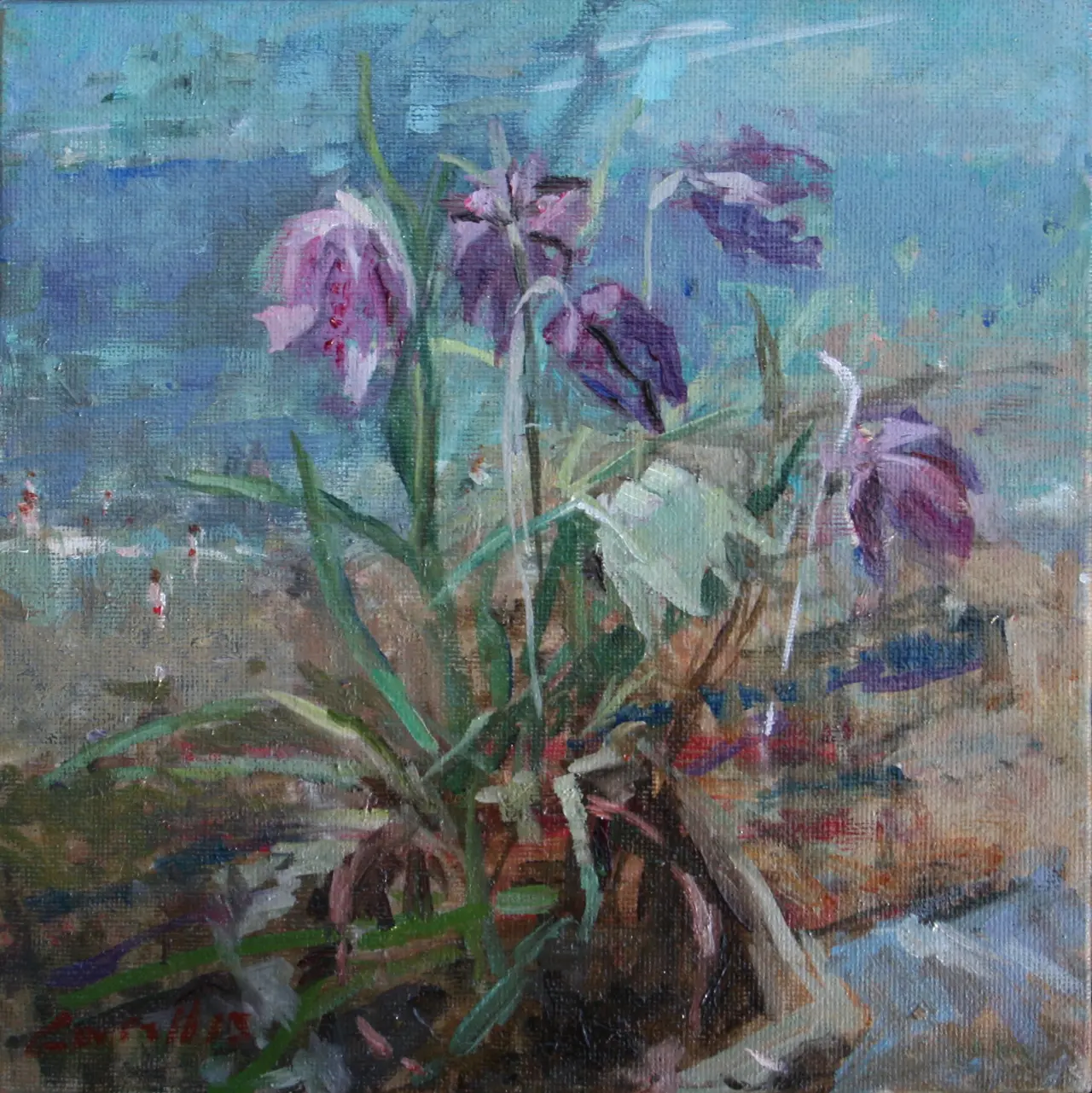 Jane Corsellis - spring window by the sea